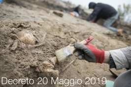Decreto 20 maggio 2019 Decreto 20 maggio 2019