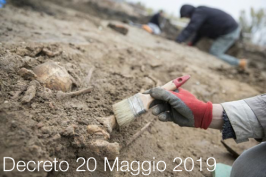 Decreto 20 maggio 2019