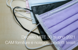 Decreto MITE 30 giugno 2021