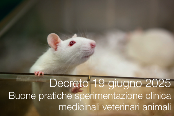 Decreto 19 giugno 2025