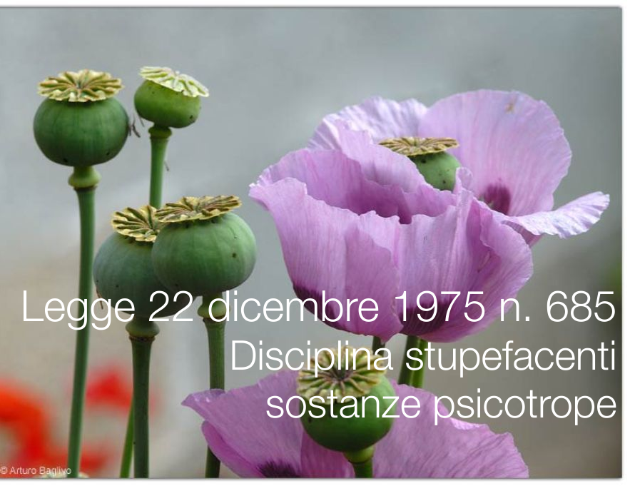 Legge 22 dicembre 1975 n. 685