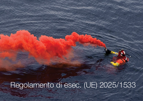 Regolamento di esecuzione (UE) 2025/1533