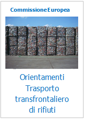 Orientamenti per i controlli doganali sulle spedizioni transfrontaliere di rifiuti