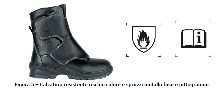 figura5 figura5