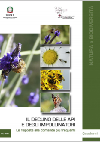 Il declino delle api e impollinatori. Riposte alle domande più frequenti