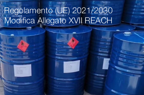 Regolamento UE 2021 2030 Regolamento UE 2021 2030