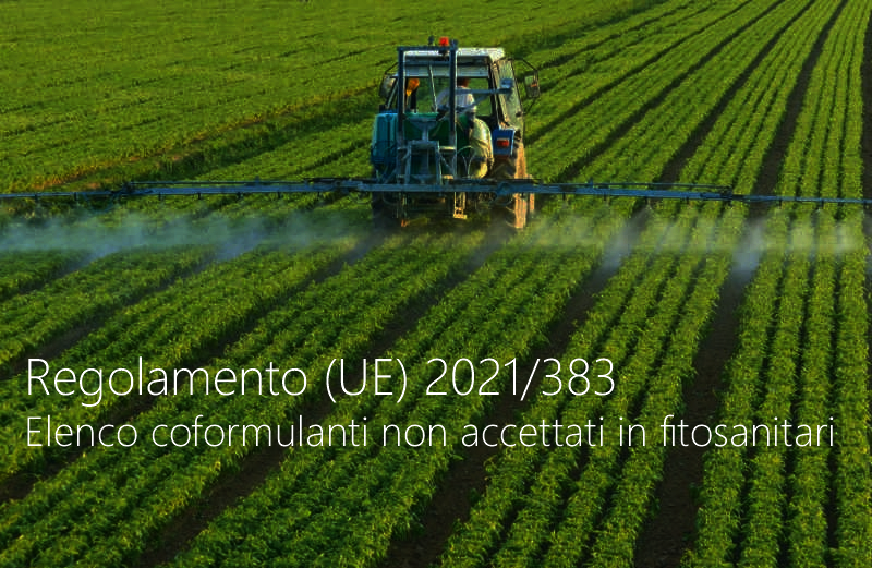 Regolamento (UE) 2021/383