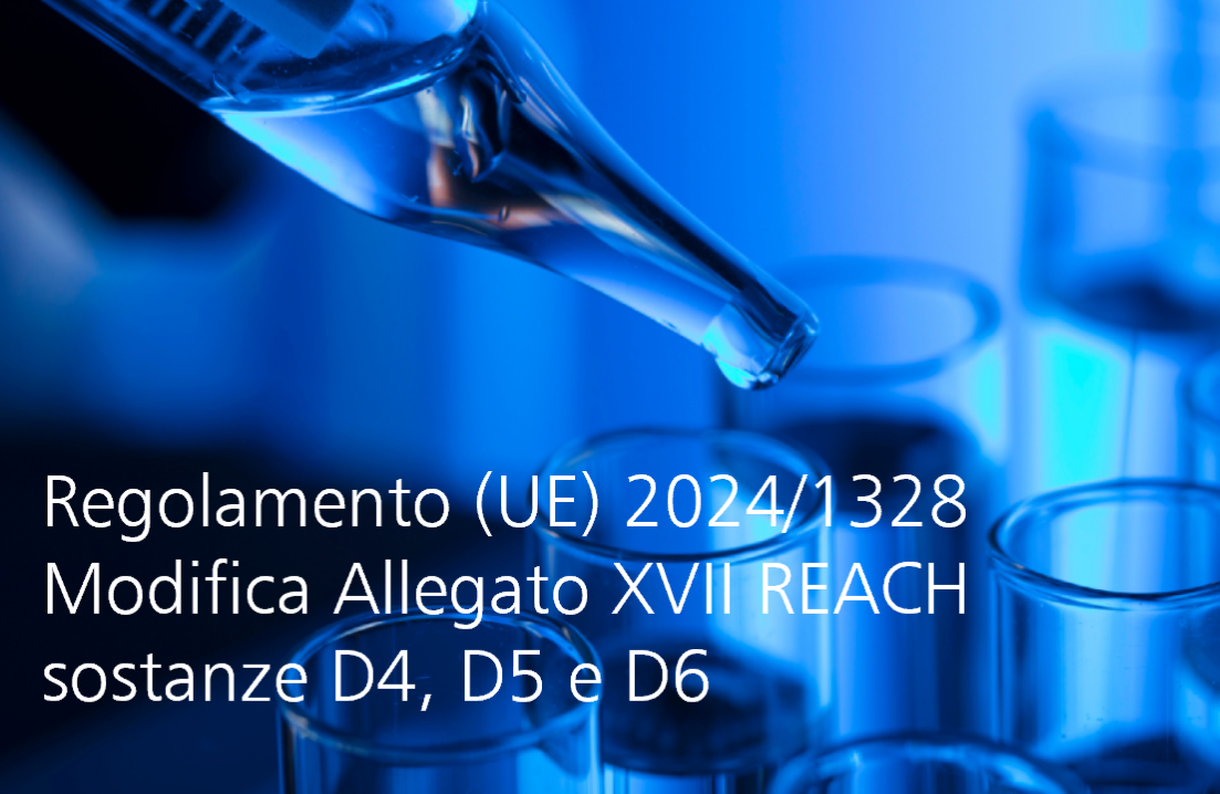 Regolamento UE 2024 1328 Regolamento UE 2024 1328