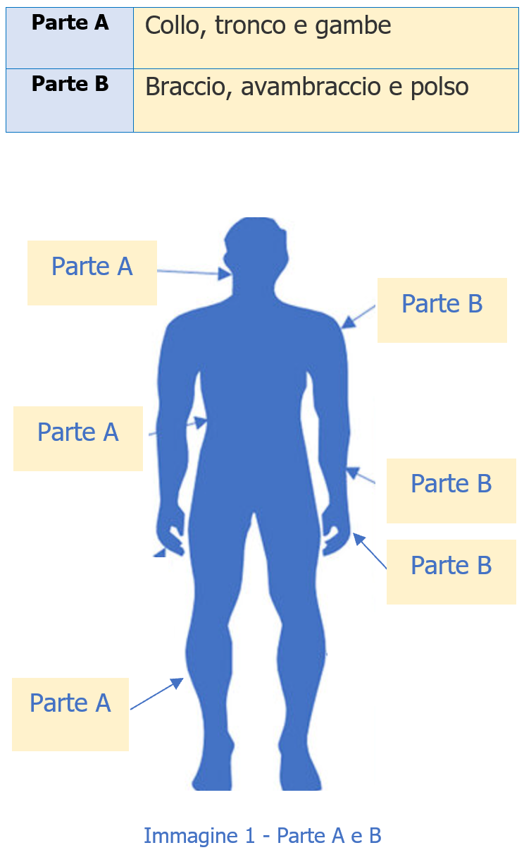 Valutazione rischio posture lavoro REBA Immagine 1 Valutazione rischio posture lavoro REBA Immagine 1