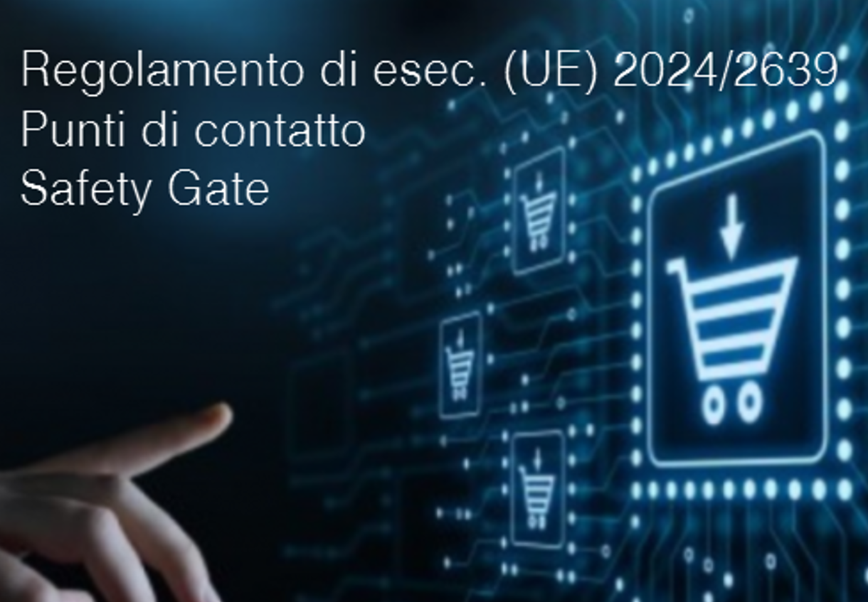 Regolamento di esec UE 2024 2639 Regolamento di esec UE 2024 2639