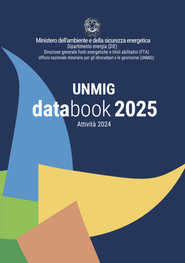 UNMIG databook 2025