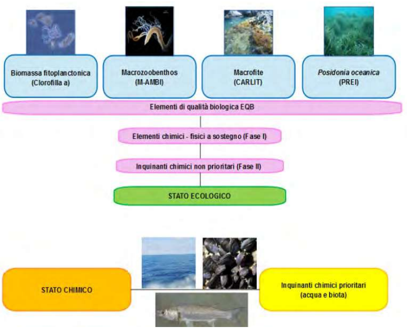 Il monitoraggio delle acque marino costiere della Toscana nel triennio 2022-2024