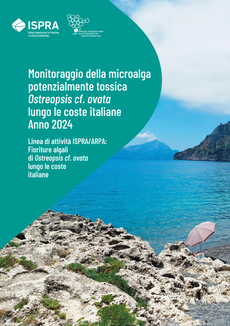 Monitoraggio della microalga potenzialmente tossica Ostreopsis cf. ovata | Anno 2024