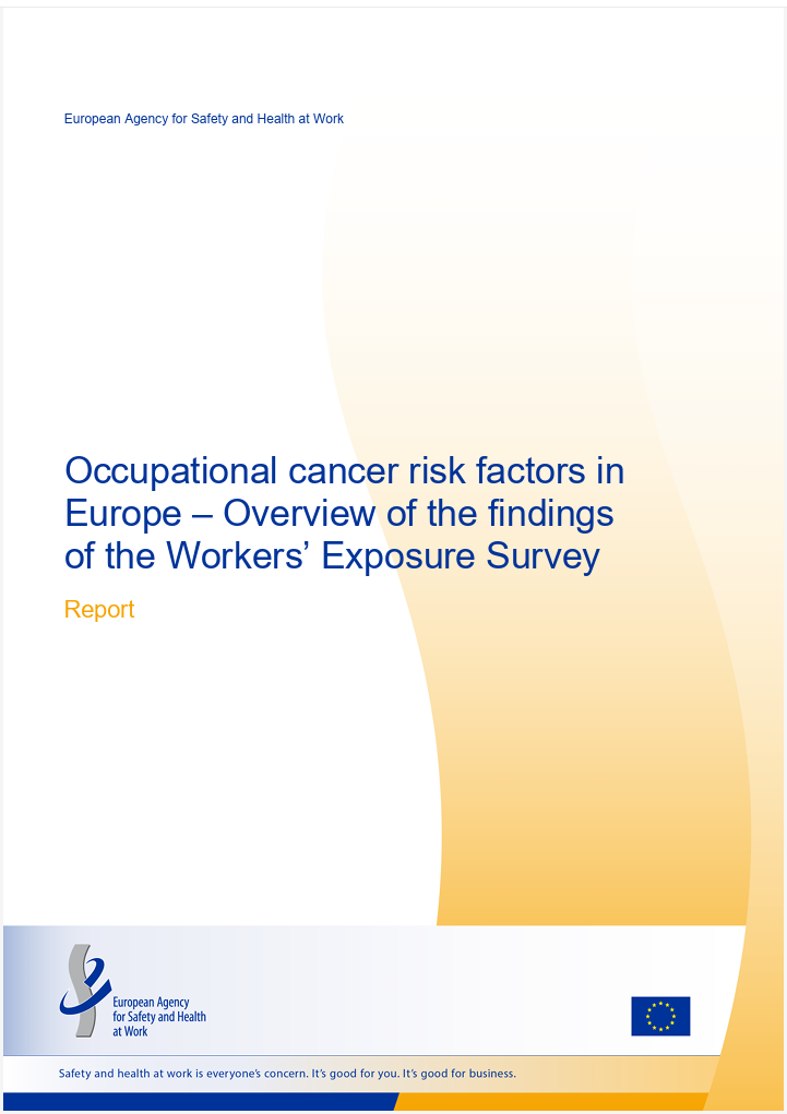 Occupational cancer risk factors in Europe &ndash; Overview of the findings of the Workers&rsquo; Exposure Survey 