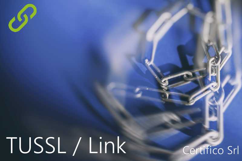 Tutti gli articoli del TUSSL