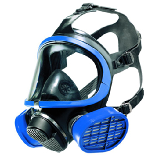 Immagine 3 - Maschere intere