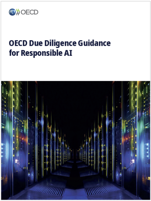 Due Diligence Guidance for Responsible AI