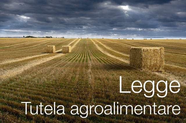 DdL Tutela Agroalimentare: approvato in via definitiva dalla Camera