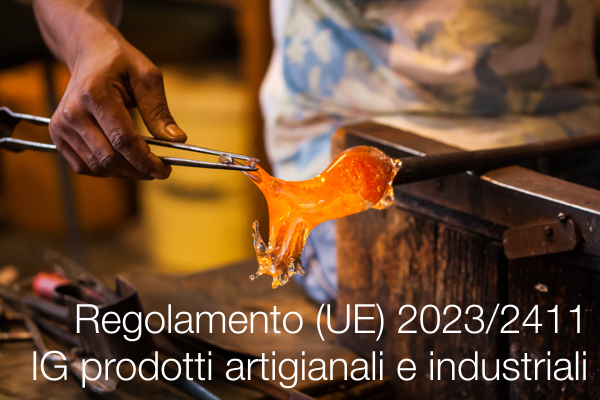 Regolamento (UE) 2023/2411