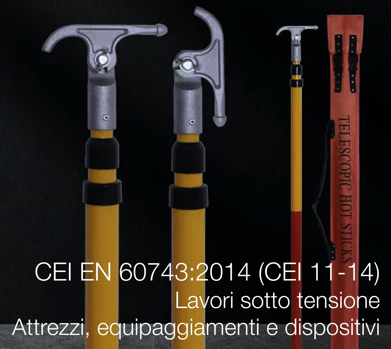 CEI EN 60743:2014