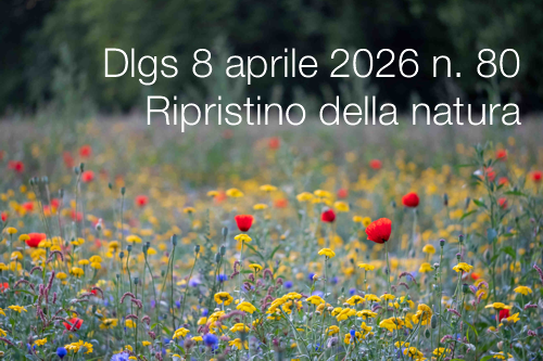 Dlgs 8 aprile 2026 n. 80