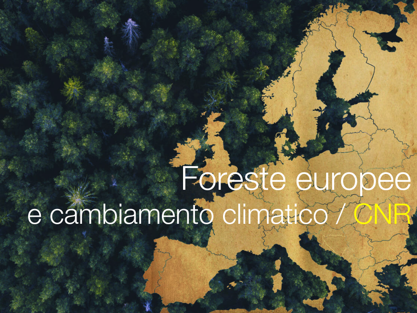 Foreste europee e cambiamento climatico / CNR