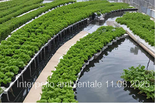 Interpello ambientale 11.08.2025 - Regime sistema idroponico che impiega acque reflue urbane affinate