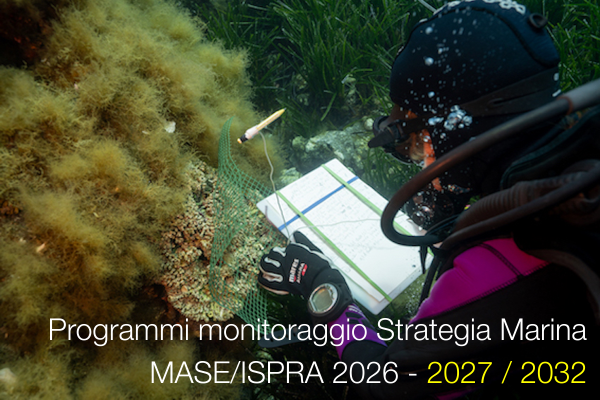 Programmi di monitoraggio della Strategia Marina - MASE/ISPRA - 2027 / 2032