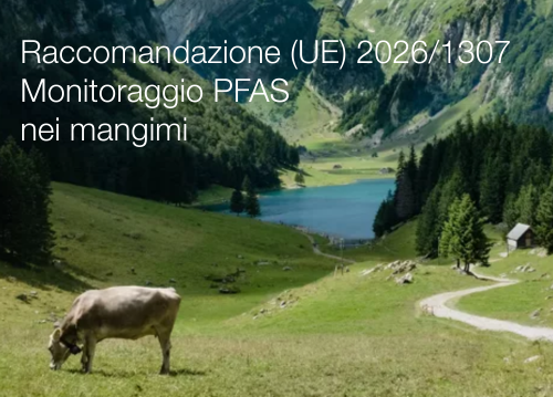 Raccomandazione (UE) 2026/1307
