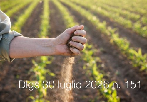 Decreto Legislativo 30 luglio 2026 n. 151 