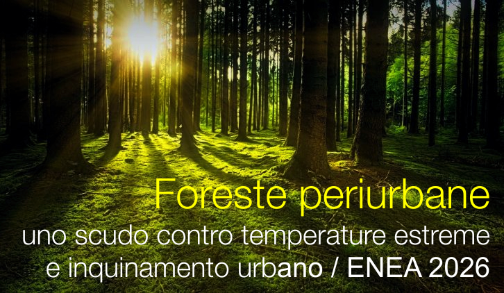 Foreste periurbane uno scudo contro temperature estreme e inquinamento urbano / ENEA 2026 Foreste periurbane uno scudo contro temperature estreme e inquinamento urbano / ENEA 2026