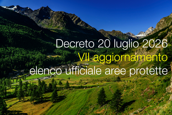 Decreto 20 luglio 2026