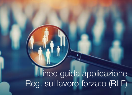 Linee guida applicazione regolamento sul lavoro forzato (RLF)
