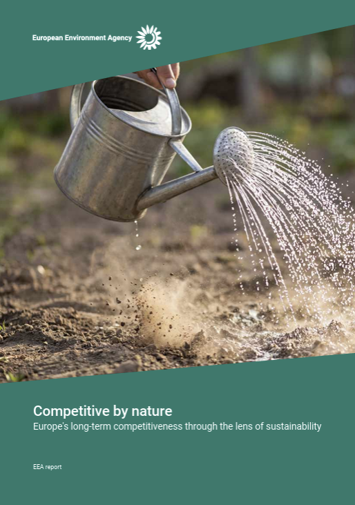 Competitive by nature / EEA 2026