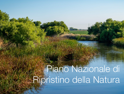 Piano Nazionale di Ripristino della Natura 