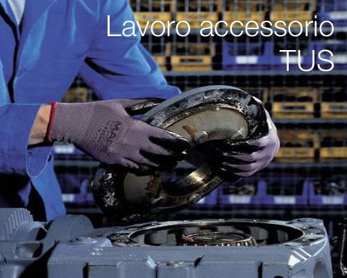 Lavoro accessorio tus