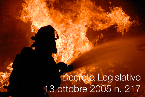 Decreto Legislativo 13 ottobre 2005 n  217