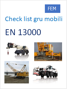 EN 13000 gru mobili