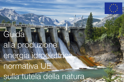 Guida produzione energia  idroelettrica