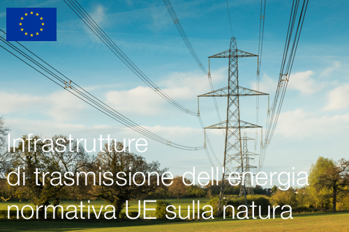 Infrastrutture energia  UE natura