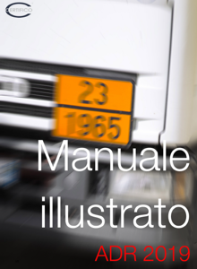 Manuale illustrato 2019 small