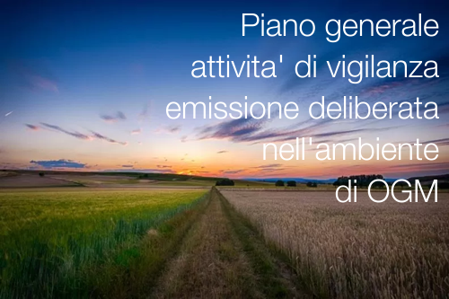 Piano vigilanza OGM