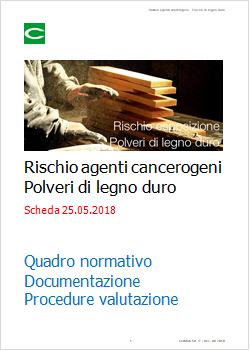 Rischio chimico Poveri legno duro