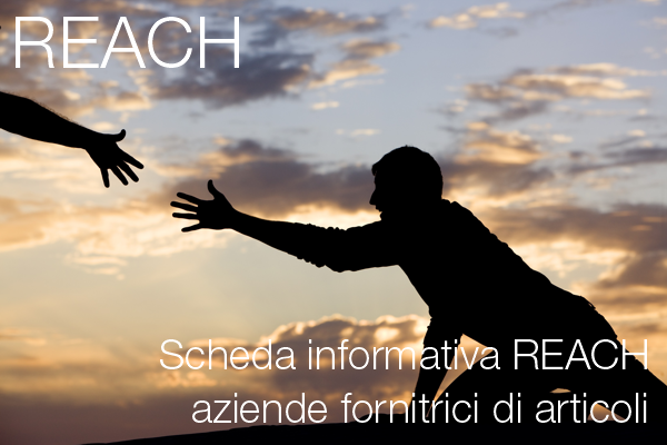 Scheda Informativa REACH