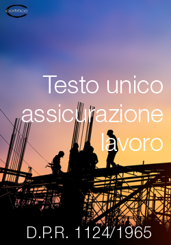 Testo unico assicurazione lavoro small