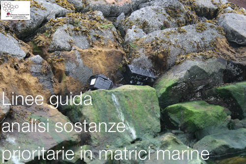 analisi matrici marine