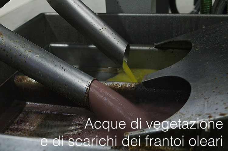 Acque di vegetazione e di scarichi dei frantoi oleari