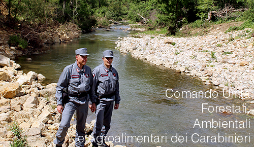 Comando Unit  forestali ambientali agoalimentari Carabinieri
