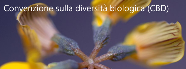 Convenzione sulla diversit  biologica  CBD 
