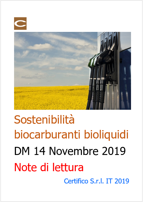 Cover Sostenibilit  biocarburanti Bioliquidi